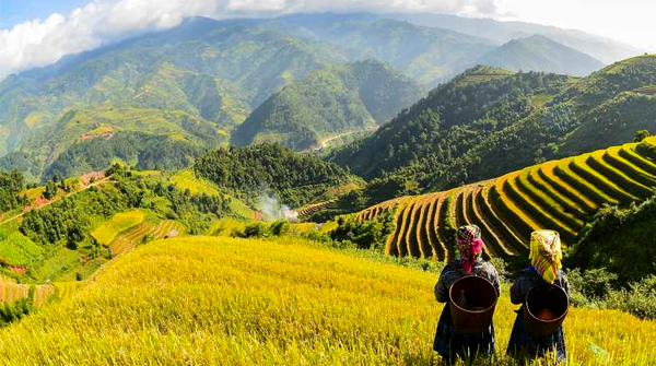 HÀ NỘI - ĐỀN ÔNG HOÀNG BẢY - SAPA – NƠI GẶP GỠ ĐẤT TRỜI
