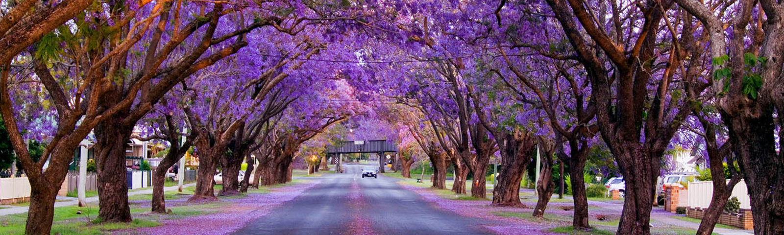 JOHANNESBURG - PRETORIA - SUN CITY - CAPE TOWN
