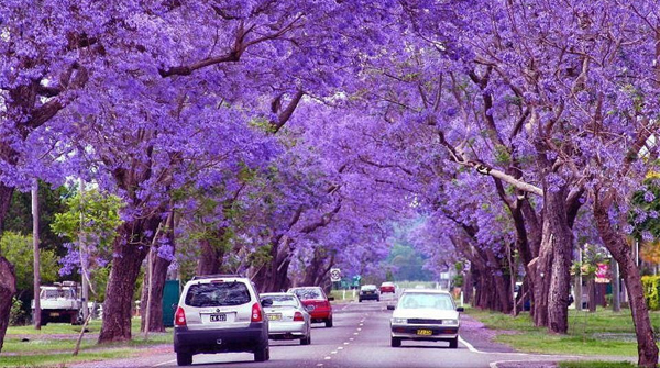 JOHANNESBURG - PRETORIA - SUN CITY - CAPE TOWN
